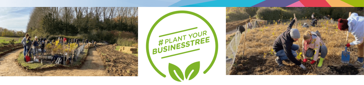 Plant a business tree !